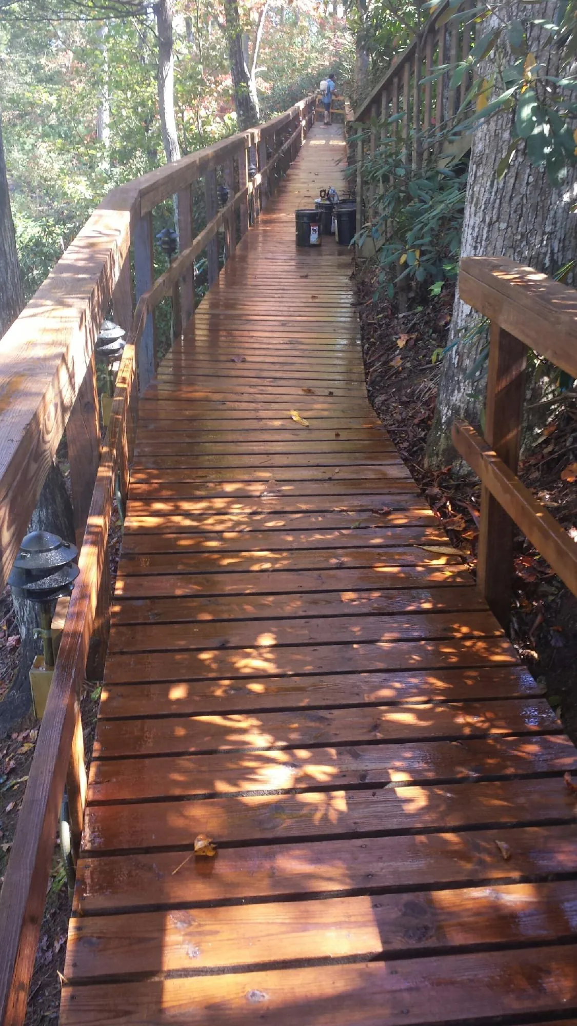 Freshly stained wood walkway winding through the woods in South Hamilton